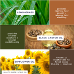 LOC'D IN Scalp Oil - Young King Hair Care